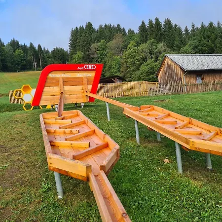 Hotel Jufa Gitschtal 3*