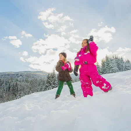 Jufa Gitschtal 3* Weißbriach