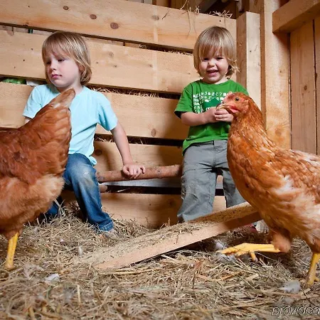 Jufa Gitschtal Hotel 3*