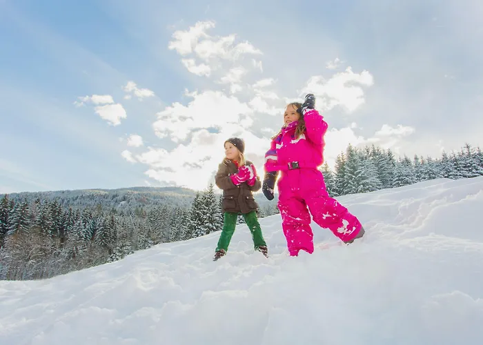 Jufa Gitschtal 3* Weissbriach