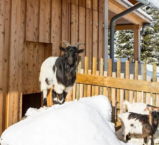 Jufa Gitschtal 3* Weissbriach